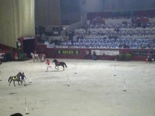 poneys games palexpo 2007