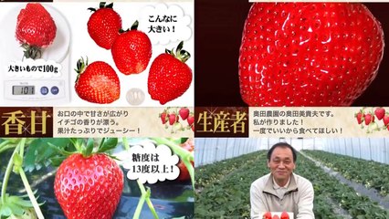 Top 10 Loại Trái Cây Đắt Đỏ Nhất Thế Giới