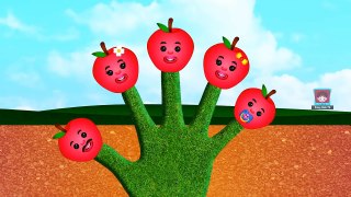 Apple Finger Family Nursery Rhymes for Children Apple Finger Family Song