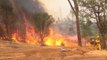 Firefighters gain ground on California wildfire
