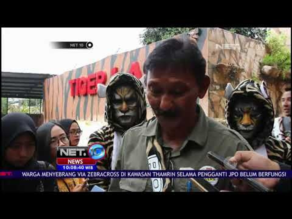 Keseruan Peringatan Hari Harimau Sedunia - NET 10