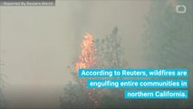 California Wildfires Continue To Spread Across The North