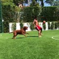 Leo Messi dribble son chien