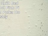 MiZone Abbey TwinTwin Xl Girls Quilt Bedding Set  Hot Pink Pieced Floral Polka Dot