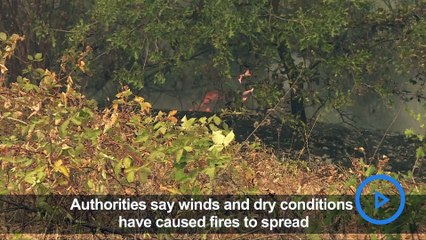 California wildfire: Flames engulf area near Lake Shasta