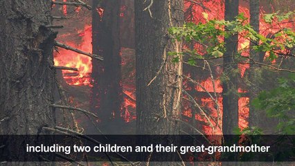 California wildfire: Flames engulf area near Lake Shasta