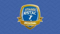 STAGE ESTAC ORIGINAL 3 - RÉSUMÉ ANIMATIONS