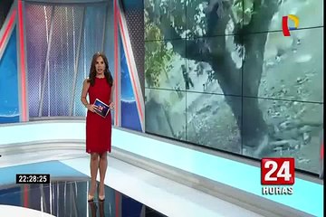 Indonesia: aumenta a 16 el número de muertos tras terremoto