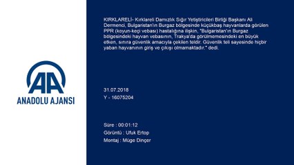 'Güvenlik teli hayvan hastalıklarını da önlüyor' - KIRKLARELİ