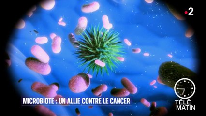 Santé - Notre intestin potentialise les traitements anti-cancer