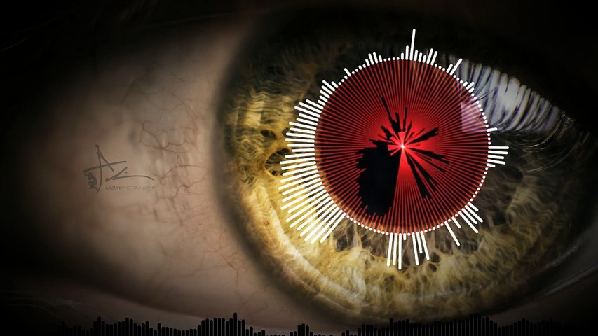 TERROR ESPECTRO ELECTRÓNICA 2018-2019