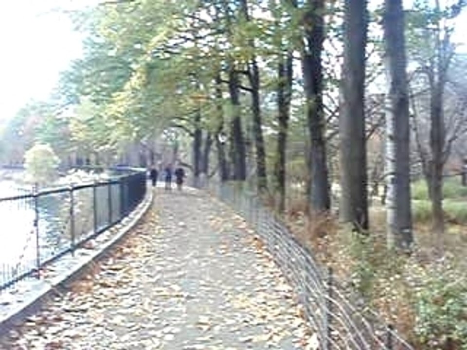 Jogging sur central Park