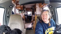RV Road Trip Alaska: A Typical Day:  Tok, AK, Laundry & Gift Shops!