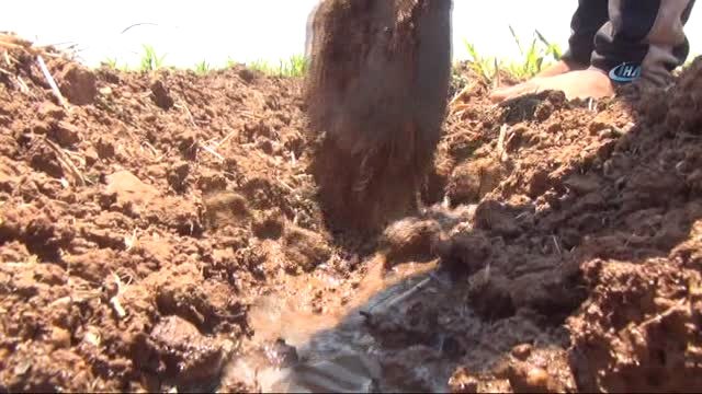 Henüz 10 Yaşında 3 Yıldır Tarla Suluyor