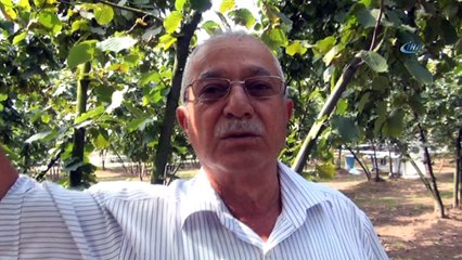 Ferrero, fındık üreticilerini bahçelerde bilgilendiriyor