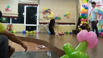 Cho thuê xiếc chó học làm toán vui nhộn LH: 0968 168 724