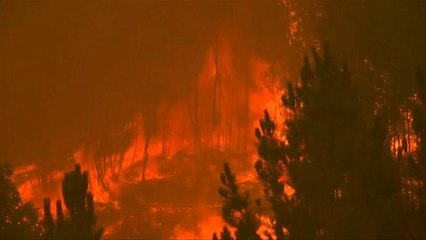 Todos os os distridos de Portugal continental em alerta por causa dos incêndios