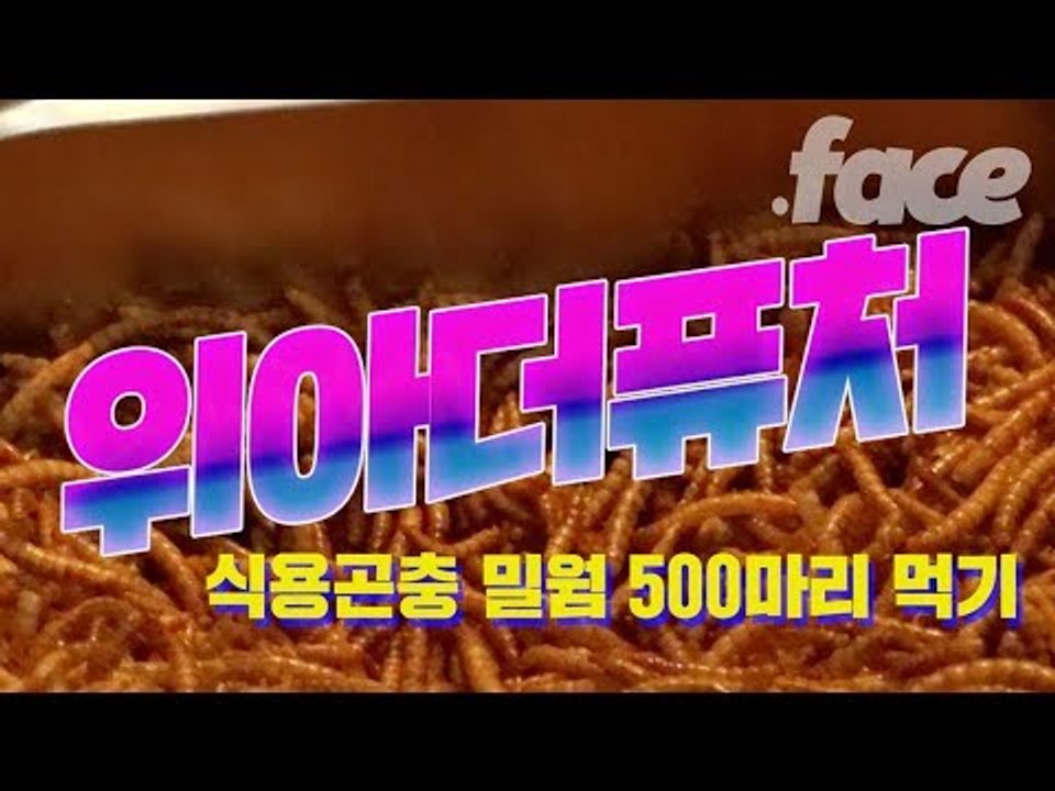 밀웜 500마리를 먹어보았다 | 위아더퓨쳐