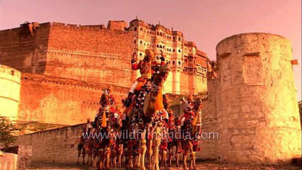 Download Video: Saare Jahan Se Achha - Indian military Camel band plays out in the desert