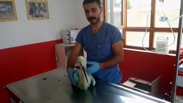 YEDAŞ ekipleri tarafından bulunan yaralı leylek tedavi altına alındı