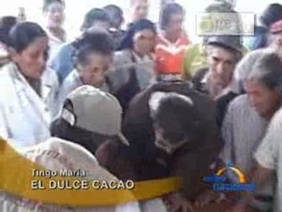 EL DULCE CACAO - TINGO MARÍA