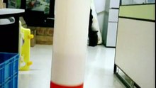 Hengxing WB510B Warning post