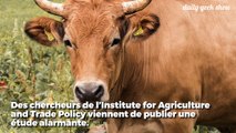 Ces 5 entreprises de viande et de produits laitiers polluent plus qu’ExxonMobile, BP ou Shell