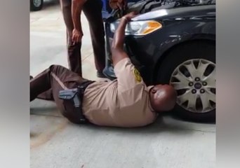 Miami Police Rescue Kitten Stuck Under Hood of Hot Car