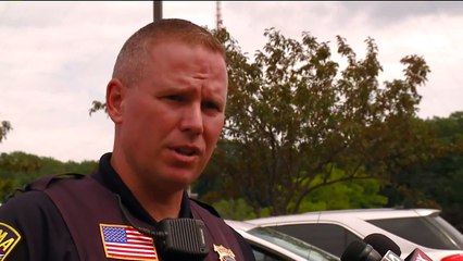 Man Cited After Using Hammer to Free Dogs from Hot Car