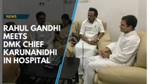 Rahul Gandhi meets DMK chief M Karunanidhi in hospital