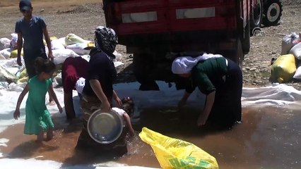 Köylülerin buğday mesaisi - MUŞ