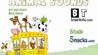 The Animal Sounds Song little kids music