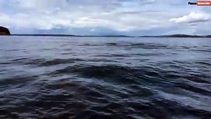 عمرك سمعت ضحكة يلي شخ تحتو من الخوف؟#غطاس