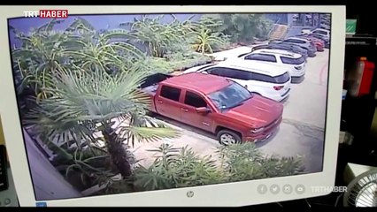 ABD'de hırsızlar köpek balığını bebek kılığına sokarak kaçırdı