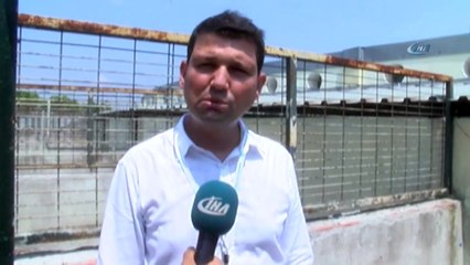 Manisa'da Sahibinin Şiddet Uyguladığı Köpek Koruma Altına Alındı