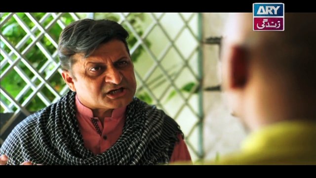 Mein Mehru Hoon Ep 203 & 204 - on ARY Zindagi in High Quality 31st July 2018