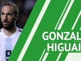 Gonzalo Higuain - player profile