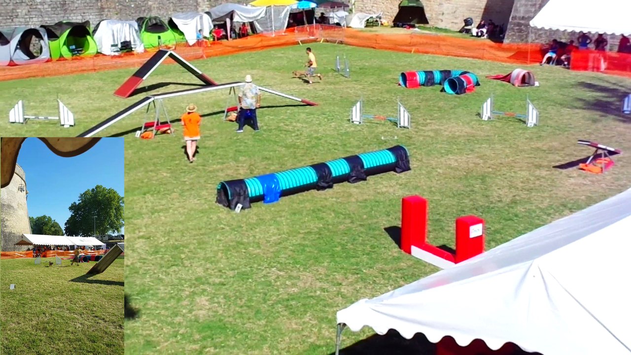 Concours Agility - Citadelle de Blaye