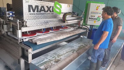 otomatik halı yıkama makinası,halı sıkma makinası maxis