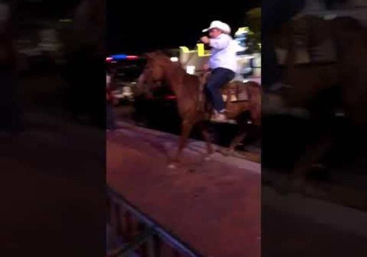 What Really Happens When a Horse Walks Into a Bar?