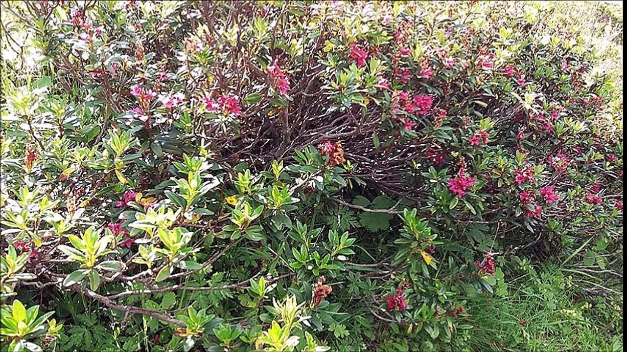 Le lac du Lou aux Ménuires