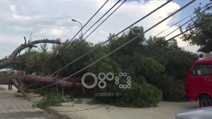 Ora News - Pisha për pak shkakton tragjedi, zë poshtë mjetin me çiftin e bashkëshortëve dhe fëmijën