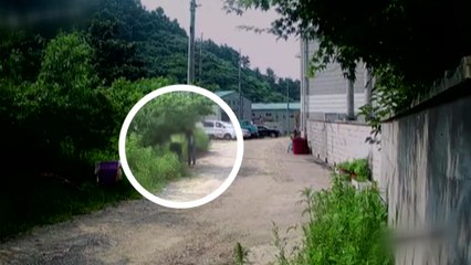 불법체류자 잡는다더니...외국인 유학생 무차별 폭행 / YTN