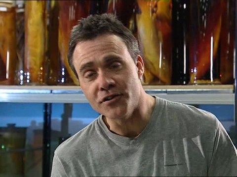 record breaking fish mirror carp barbel & pike part.1 (2007)