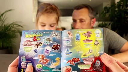 Boite Complète 20 Pieuvres Meduses qui changent de couleur dans l'eau chaude TENTACLES & Co