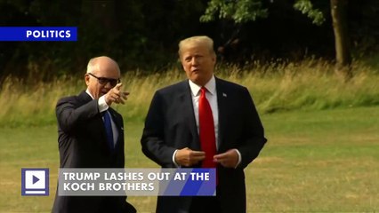 Trump Lashes Out at the Koch Brothers