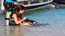 Red Sea Diving Safari  - The Eco diving Adventure