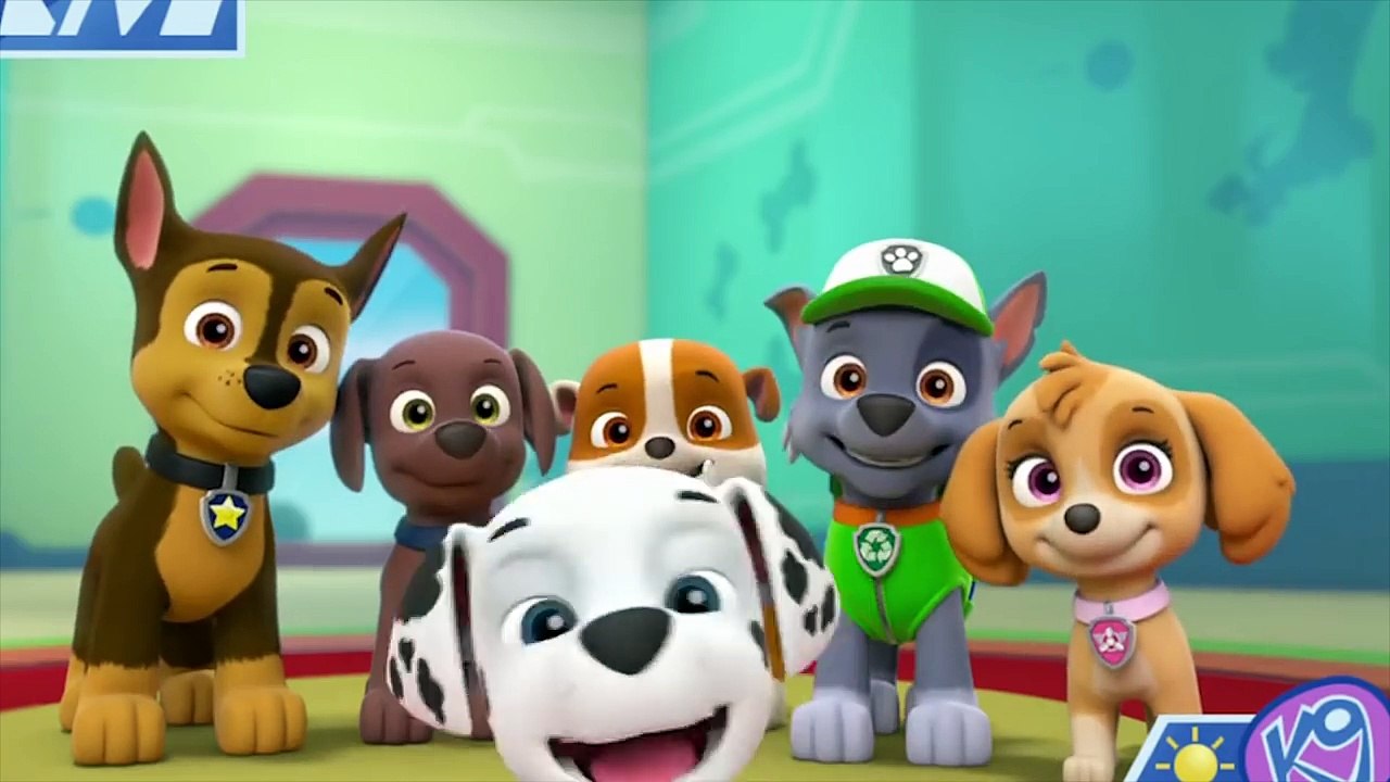 dailymotion paw patrol mighty pups