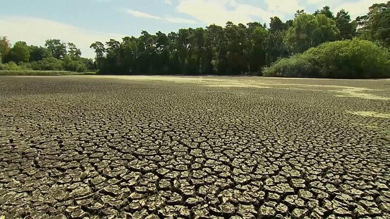 Hitzewelle trocknet Seen aus und treibt Berliner in eine Eisbar bei minus 10 Grad Celsius