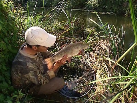 record breaking fish mirror carp barbel & pike part.2 (2007)